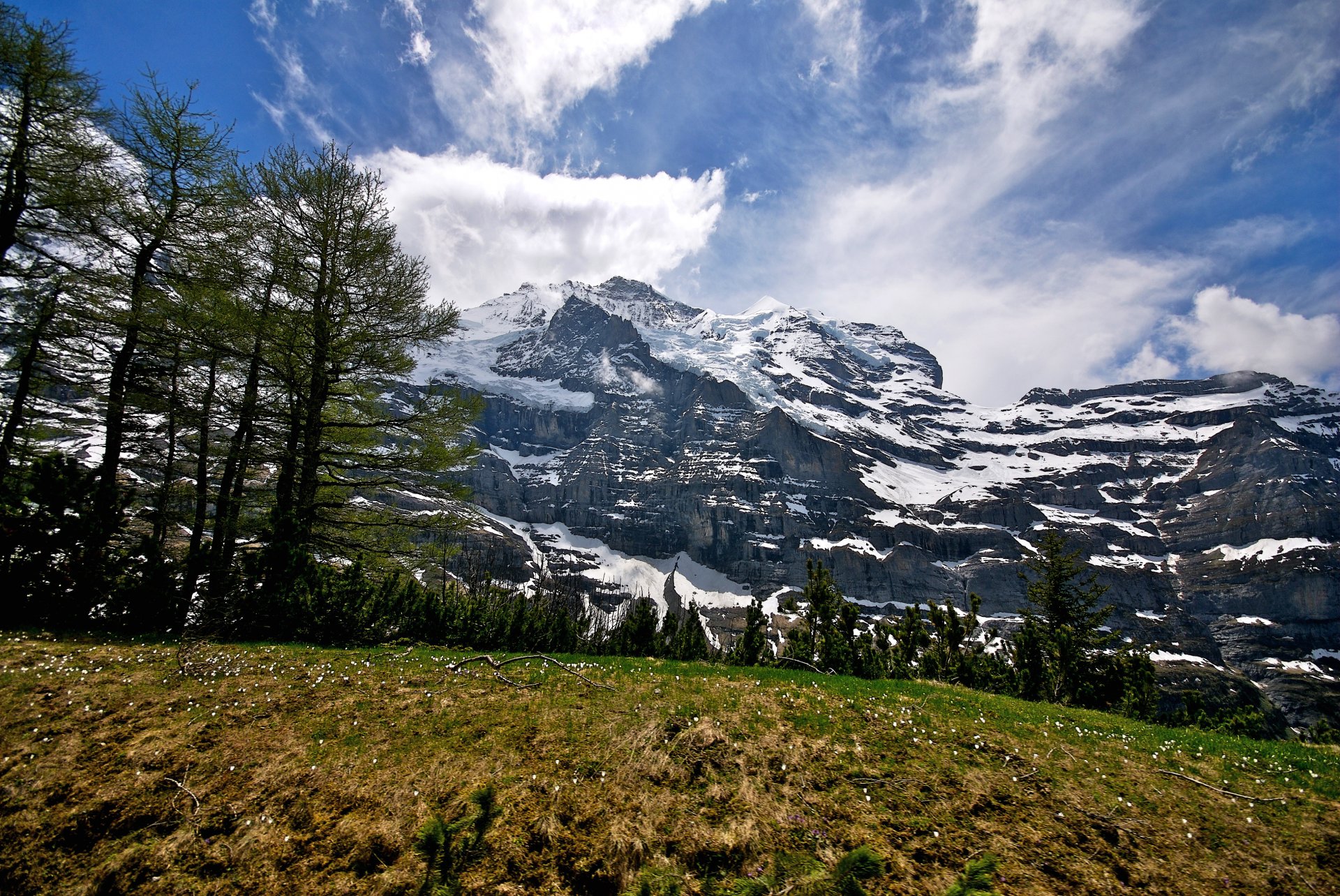 himmel wolken berge wald bäume gras blumen schnee