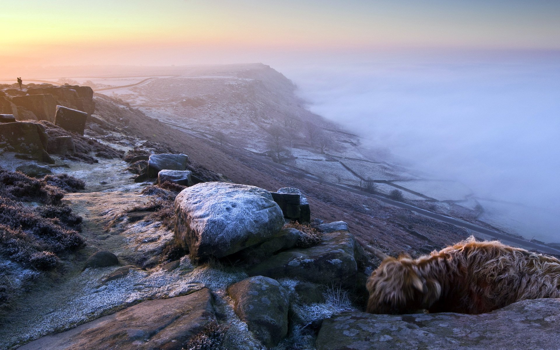 montagne brouillard paysage