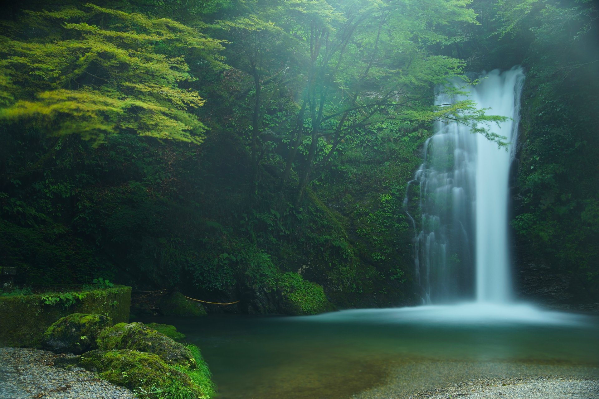 hiraito falls fujinomiya japón shiraito falls cascada bosque árboles