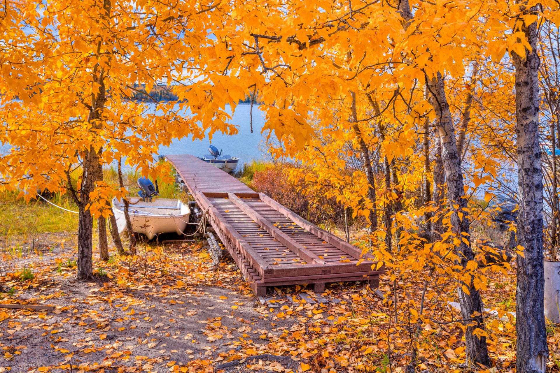 automne arbres pont lac bateau feuilles