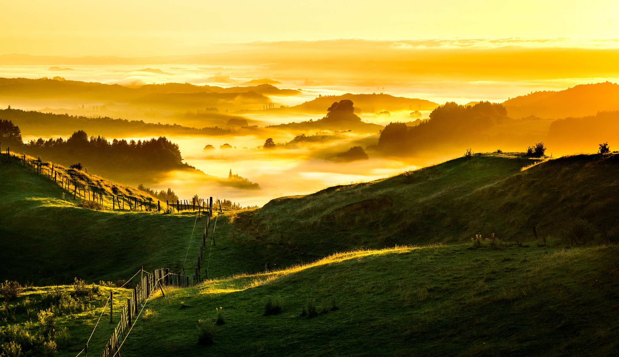 nueva zelanda brumoso amanecer dorado