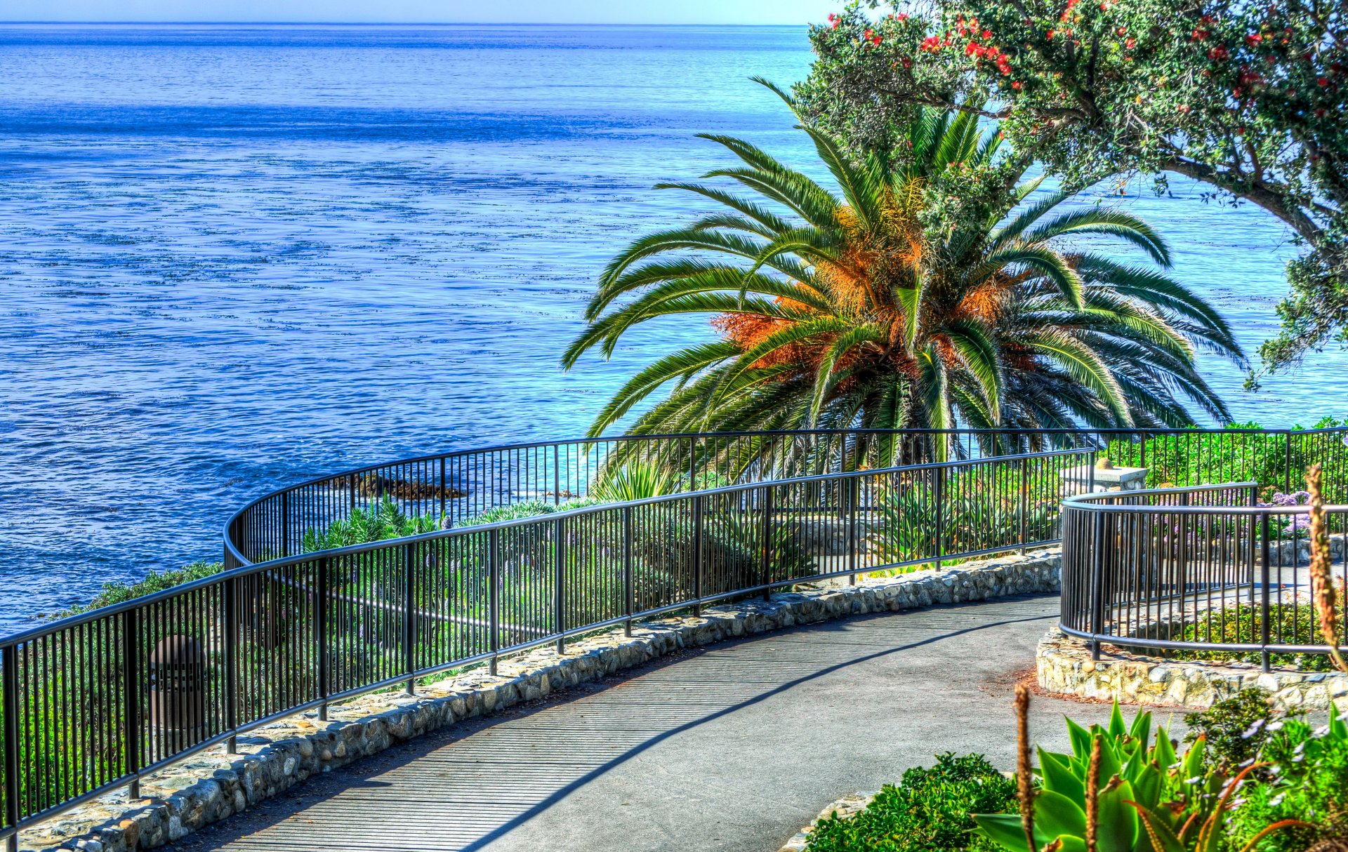 etats-unis laguna beach mer palmiers horizon passerelle garde-corps descente