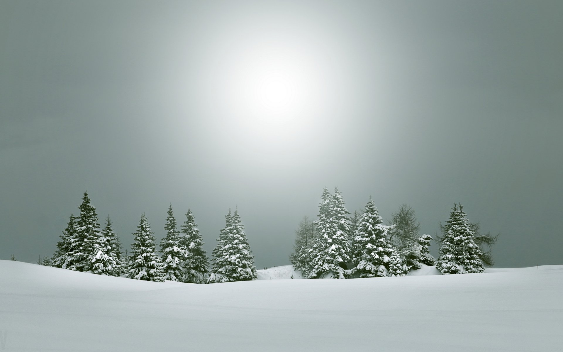 inverno natura paesaggio