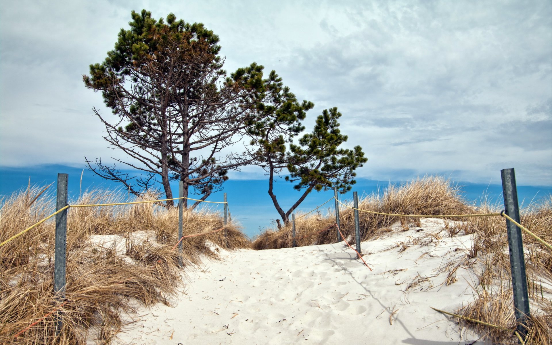 ea beach dune landscape summer