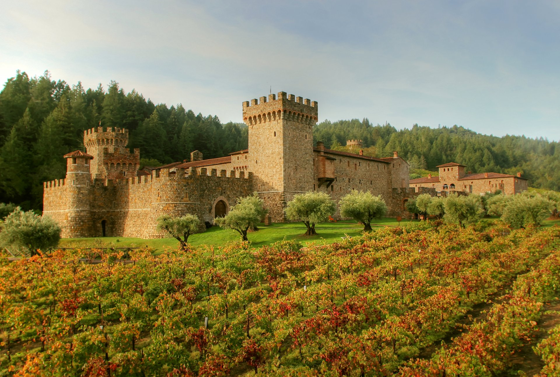 włochy castello di amorosa toskania zamek twierdza las pole plantacja trawa drzewa