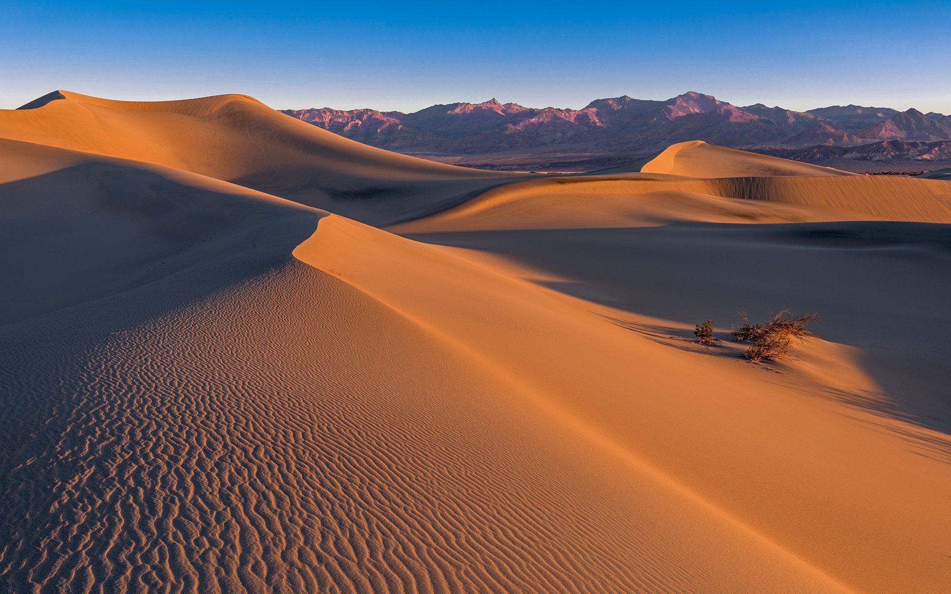 mesquite dunes death valley sand desert