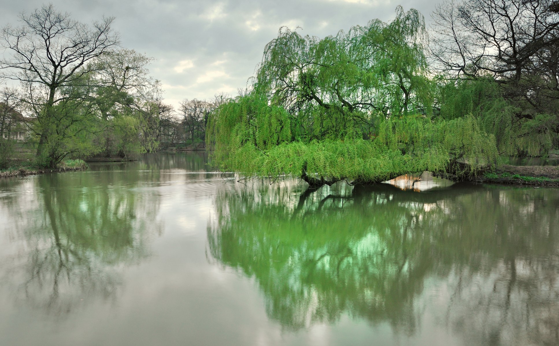 dresde parc lac arbres printemps