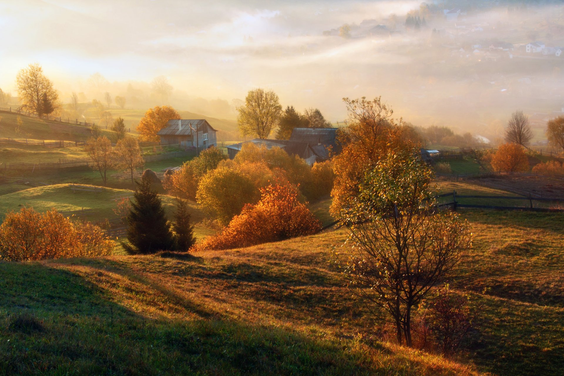 autumn of the field tree houses gardens fences space sun fog