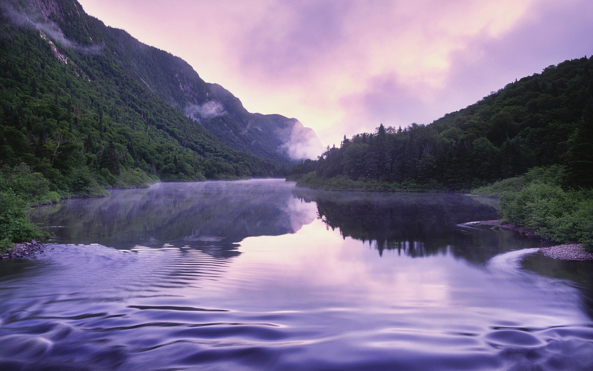 sommer nebel berge fluss bäume himmel natur