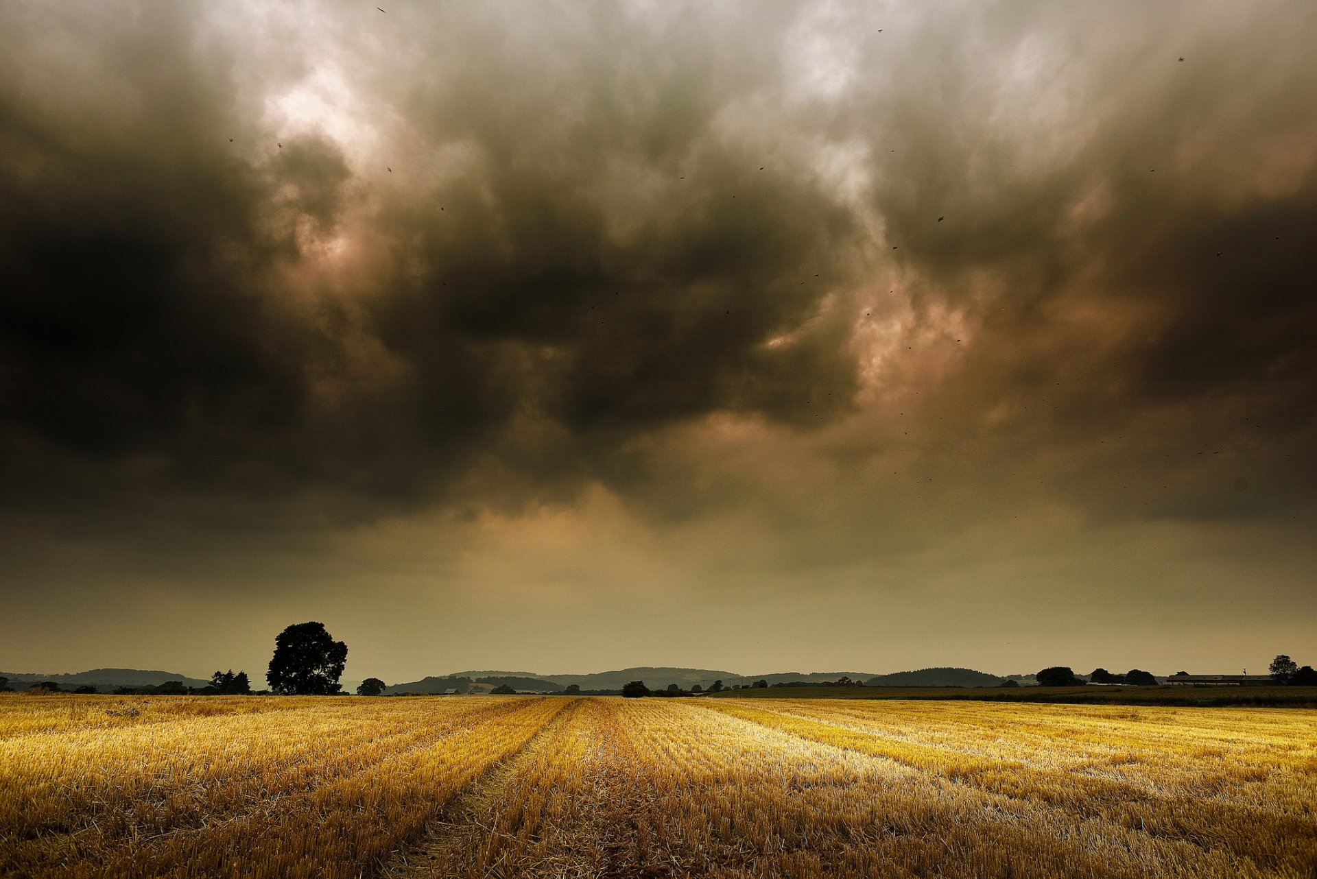 field storm horizon mountain trees farm the field tree