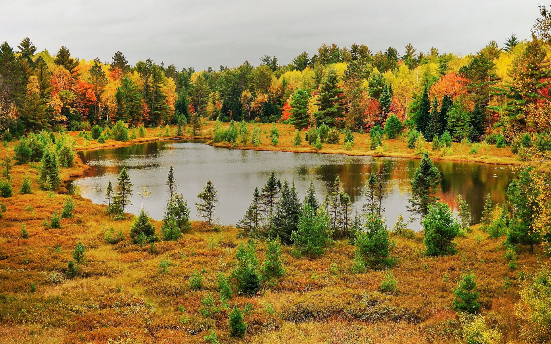 autunno lago foresta natura foto