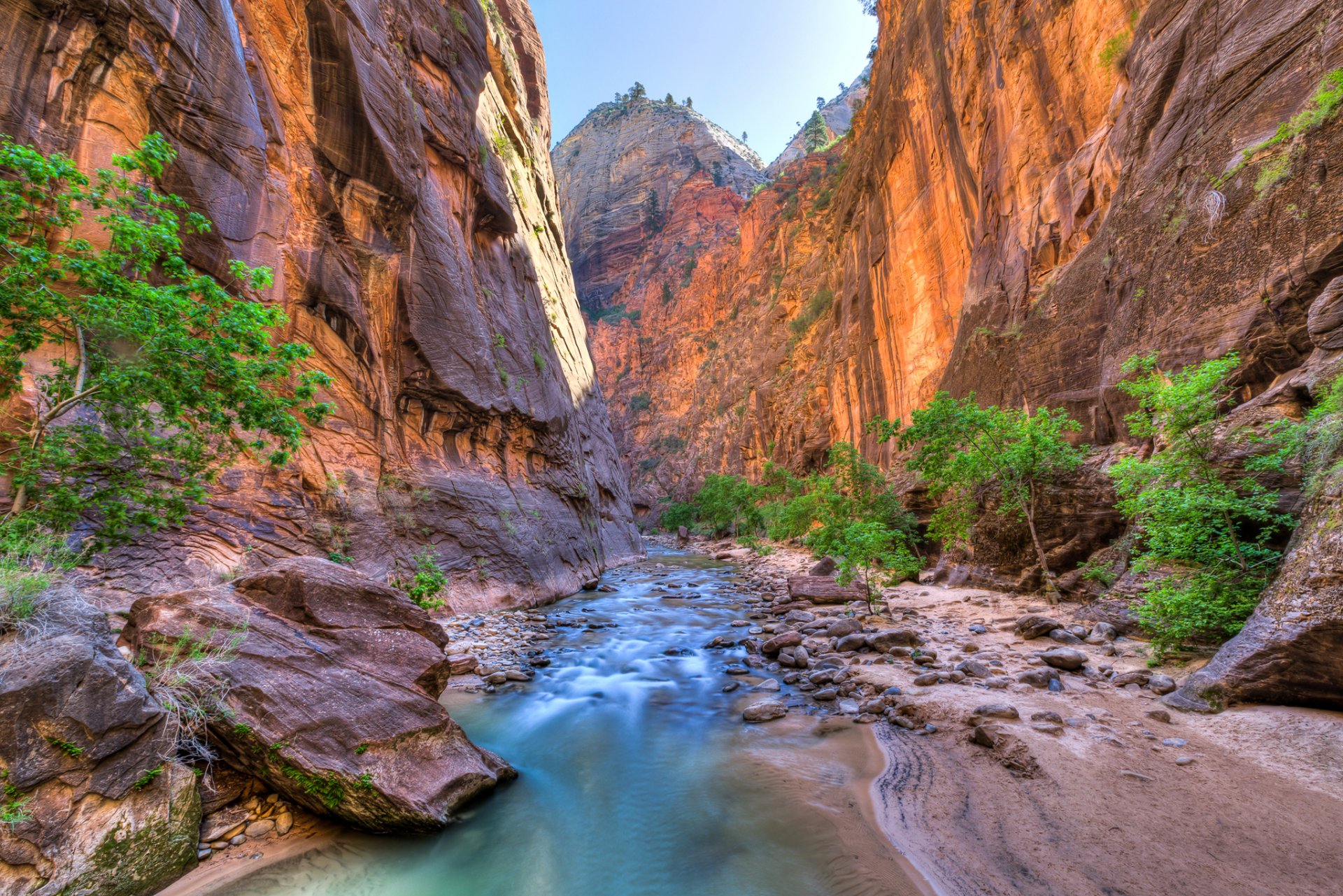 zion national park usa utah felsen schlucht fluss steine bäume schlucht