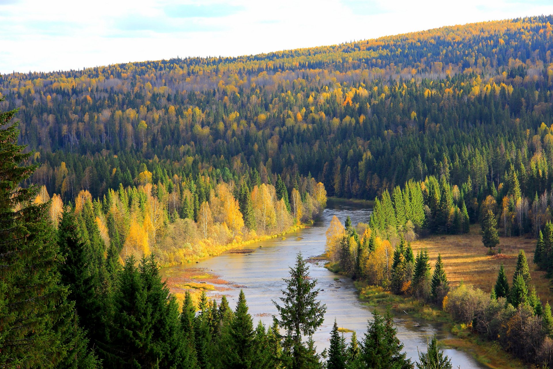 russie forêt rivière arbres région de perm koiva