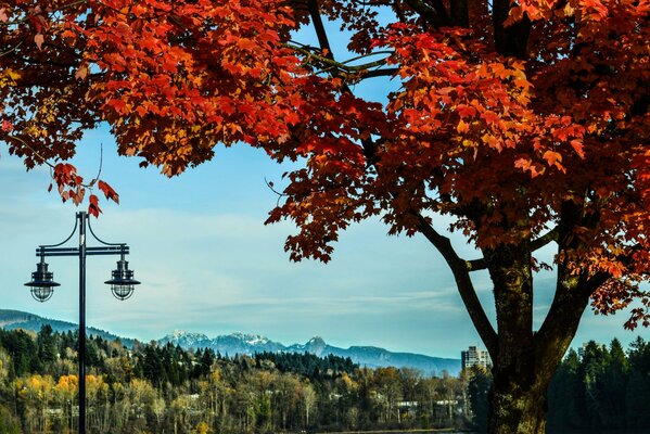 Imagen de arte de la hermosa naturaleza en otoño