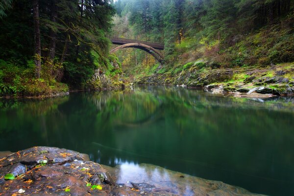 Ponte sul fiume Lewis in estate a Washington