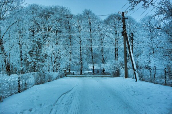 Frost an Ästen und Drähten