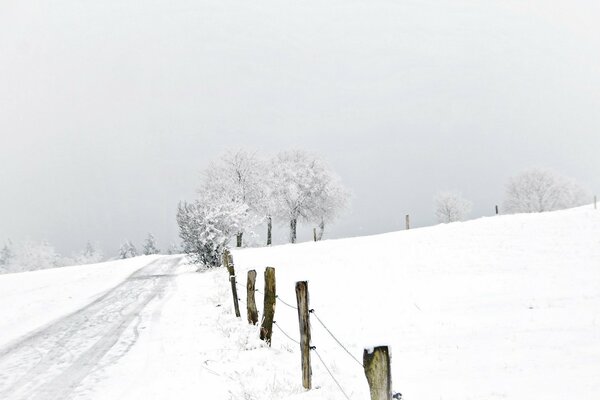 Camino nevado cerca