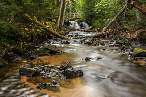 Fluss und Wasserfall im Wald