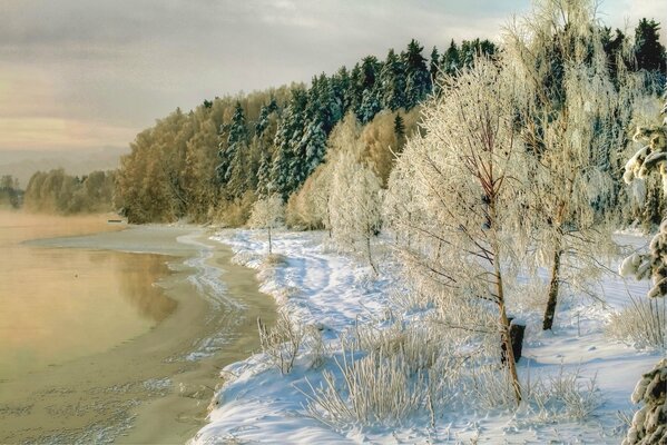 Bild eines Flusses und Bäume mit Schnee bedeckt