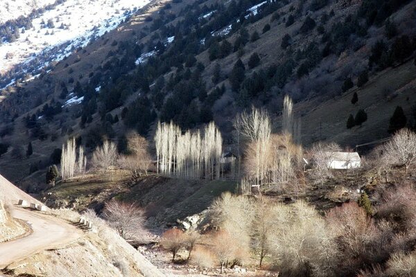 Vallée enneigée avec une rivière dans les montagnes