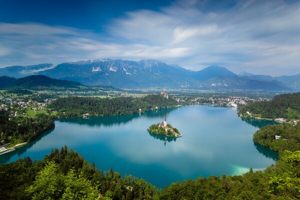 Hermoso lago rodeado de bosque