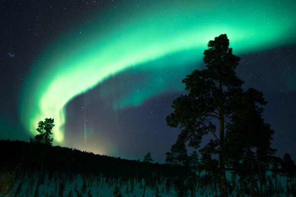 Nordlichter am Nachthimmel