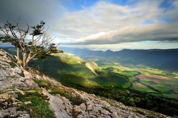 Paysage de montagne et ciel et forêt