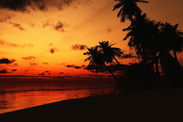 Gloomy clouds in the evening sky at sunset