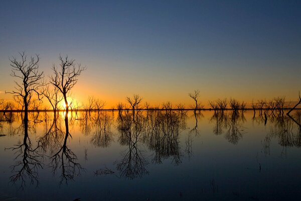 The spring flood is like a mirror image, so beautiful and so sad