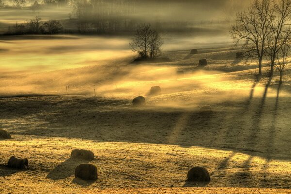 Neblige Morgenlandschaft im Feld