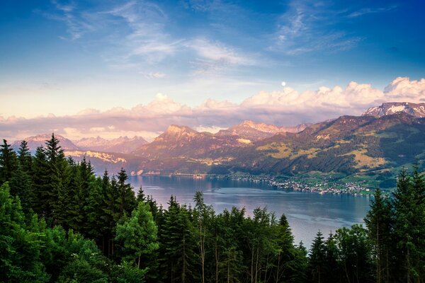 Paysage de forêt dense, montagnes et lac