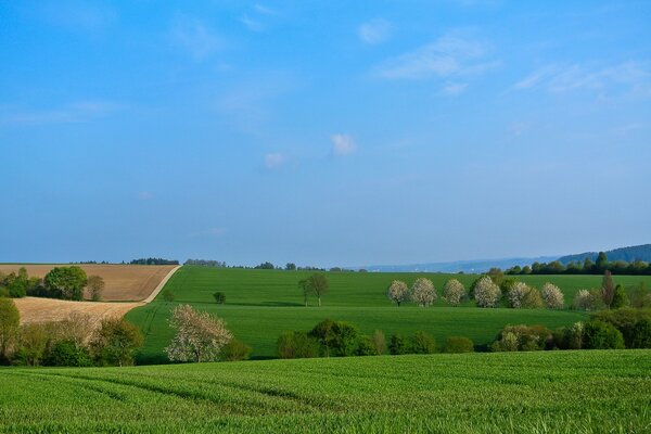 Clear sky in the village field