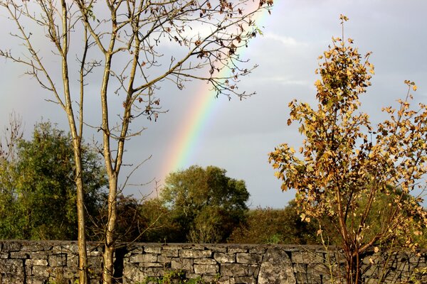 Regenbogen am Himmel über einem Zaun mit Bäumen