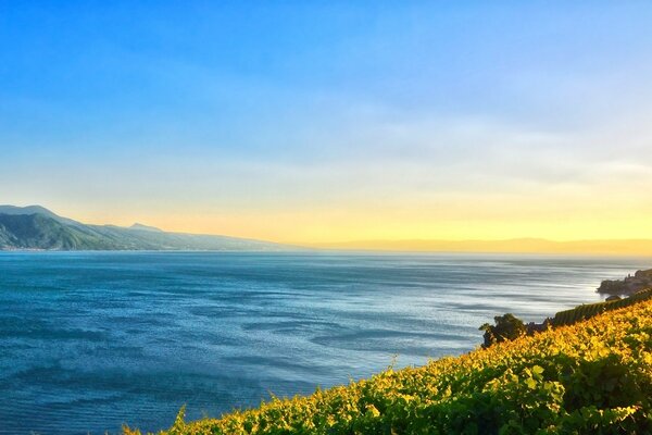 Am Horizont nur das Meer hinter dem Meer Berge