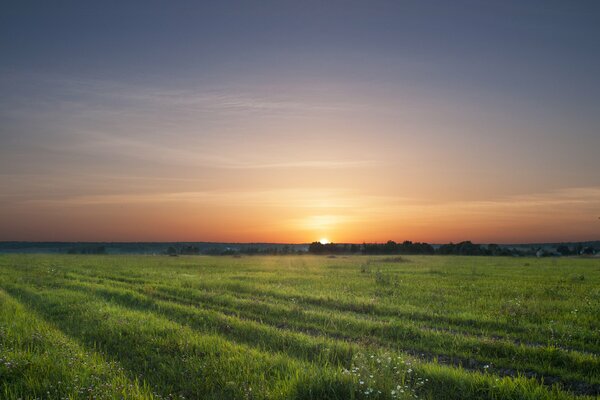 El trabajo ha terminado, el campo ha vaciado el sol sobre el horizonte se ha ido