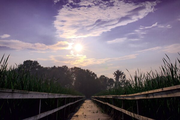 The bridge passing through the lake