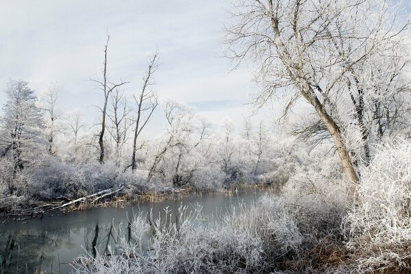 Un bel paesaggio. Fiume invernale