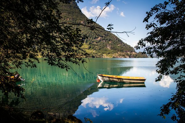 Tra gli alberi è visibile un alta montagna e un lago in cui la barca