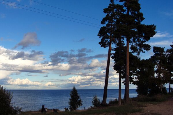 Costa con pinos en el lago Ladoga de Rusia