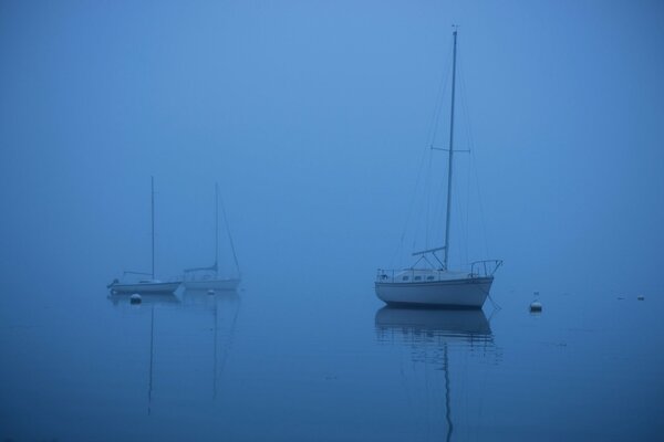 Excursions en bateau