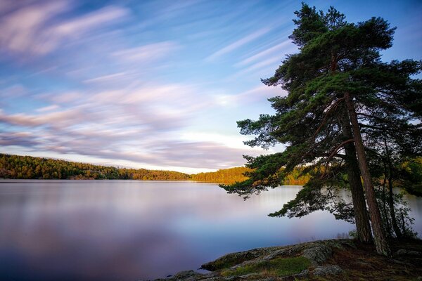 Paisaje de Suecia con árboles en la orilla del lago