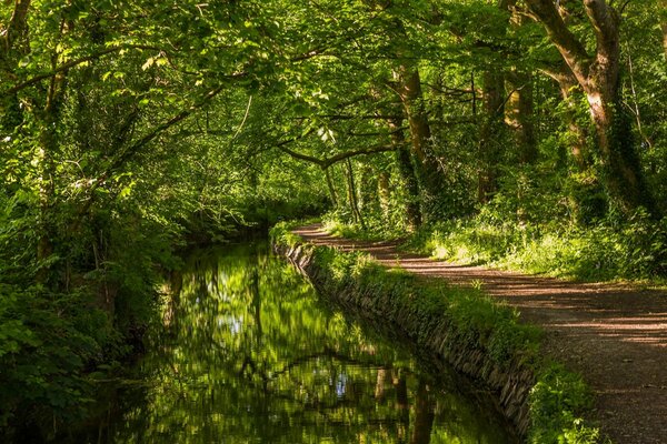 Uromnaya path along the river in the English forest