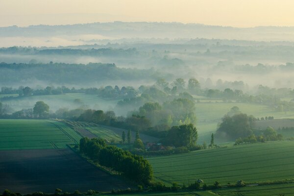 Brouillard matin collines champ