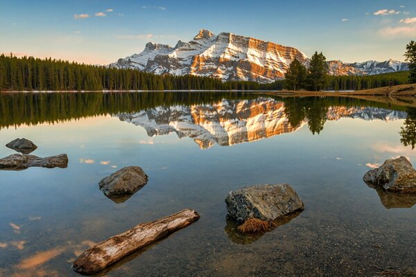 Reflections in the water on the lake