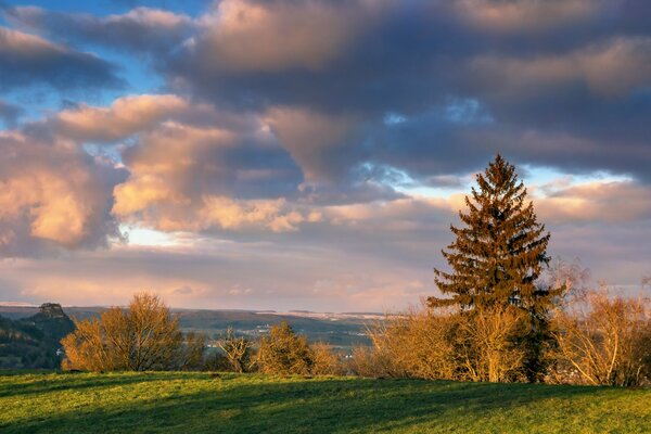 Schöne Wolken über dem Feld. Frühherbst