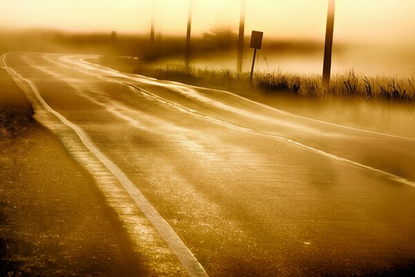 Strada lungo i campi nella nebbia mattutina