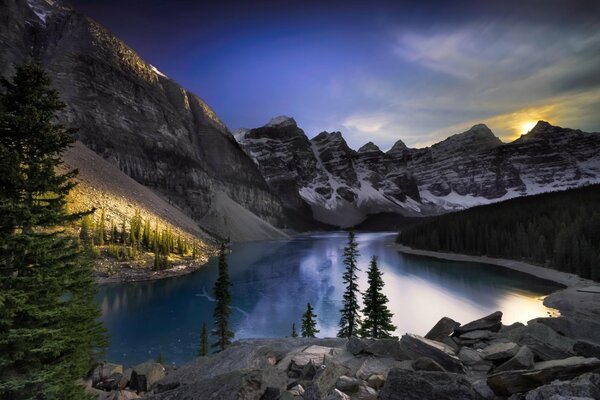 Slender fir trees near a mountain lake