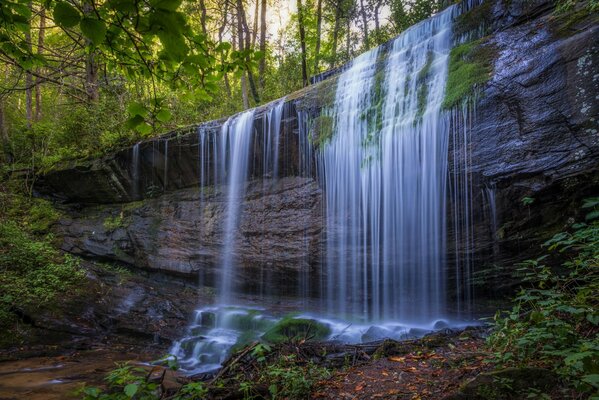 Beautiful waterfall. Rocks and forest