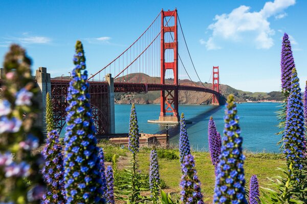 Golden Gate Bridge à San Francisco