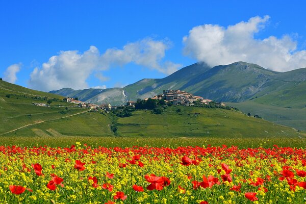 Italia. castellucho di Norcia. campo de amapolas en las montañas